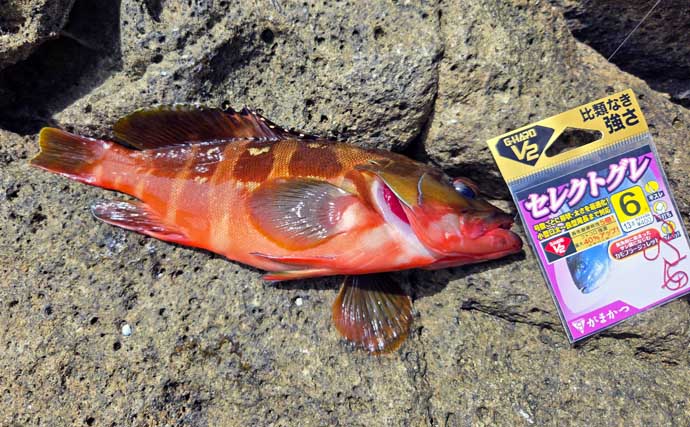 「海の中はまだ夏？」沖磯フカセ釣りでシイラにソーダカツオなど7魚種【西伊豆】