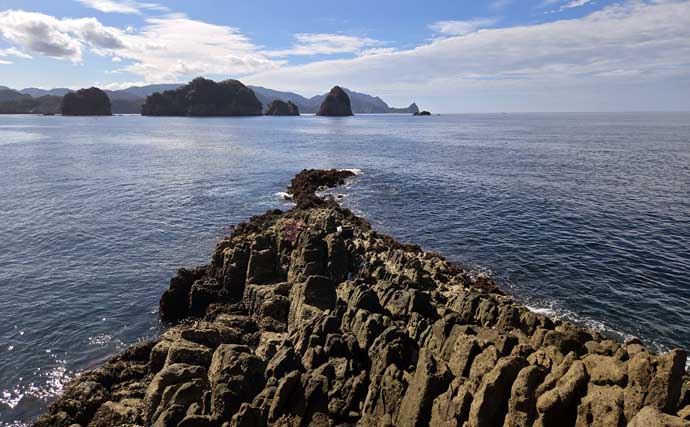 「海の中はまだ夏？」沖磯フカセ釣りでシイラにソーダカツオなど7魚種【西伊豆】