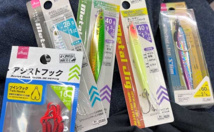 ライトショアジギング超入門（SLJ）メタルジグのフック（針）は沢山つければOK？