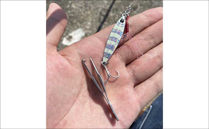 ライトショアジギング超入門（SLJ）メタルジグのフック（針）は沢山つければOK？