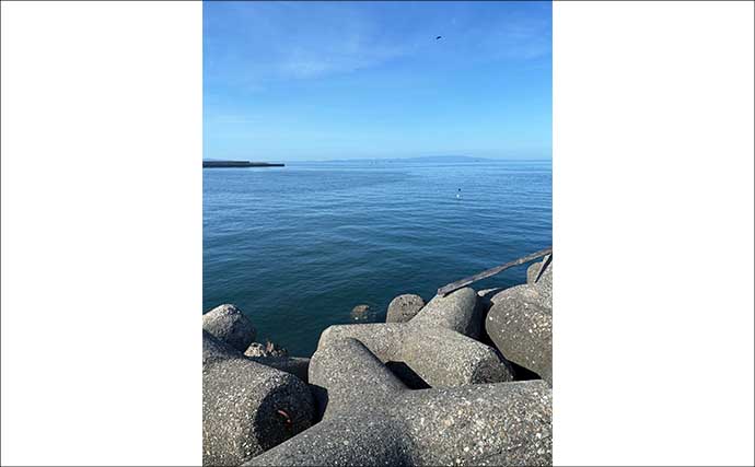 ライトショアジギング超入門（SLJ）メタルジグのフック（針）は沢山つければOK？