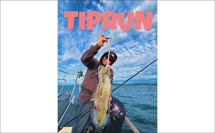 【沖のルアー釣果速報】ティップランでアオリイカ船中23匹！サオ頭は7匹をマーク（三重）