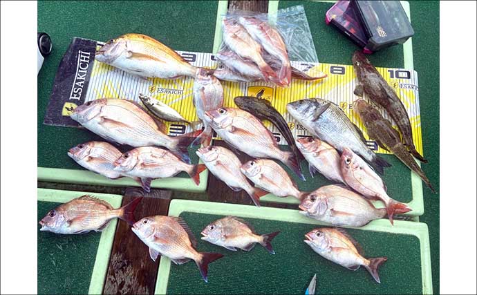 【沖のルアー釣果速報】ティップランでアオリイカ船中23匹！サオ頭は7匹をマーク（三重）