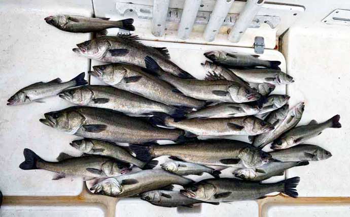 【沖のルアー釣果速報】持ち上がらないほどの重量感！ジギング船で7kg超えブリ手中に歓喜（愛知）