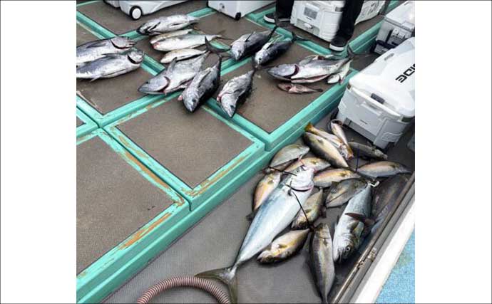 【沖釣り釣果速報】玄界灘の落とし込み釣り好調！10kg級ヒラマサ＆ワラサ爆釣（福岡）