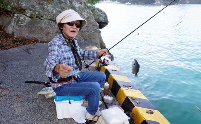 「西伊豆の漁港で家族釣行！」オオモンハタやメジナなど多彩な魚種で五目釣り満喫【静岡・田子港】