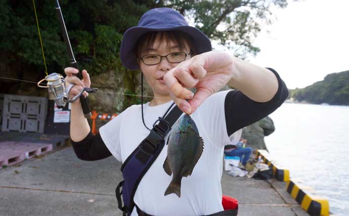 「西伊豆の漁港で家族釣行！」オオモンハタやメジナなど多彩な魚種で五目釣り満喫【静岡・田子港】