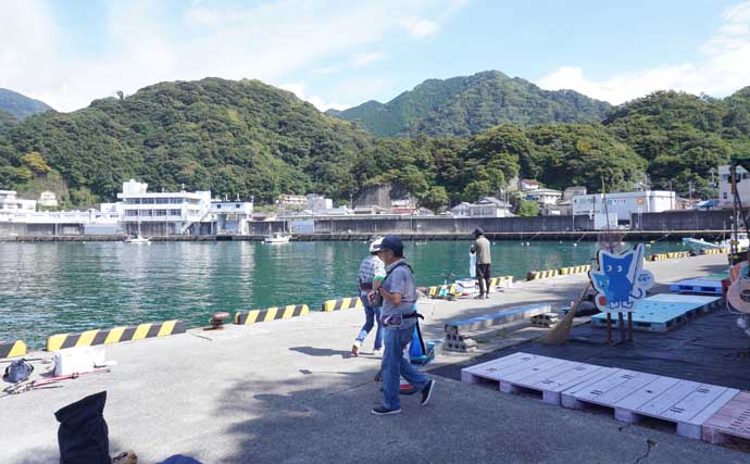 「西伊豆の漁港で家族釣行！」オオモンハタやメジナなど多彩な魚種で五目釣り満喫【静岡・田子港】