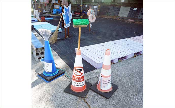 「西伊豆の漁港で家族釣行！」オオモンハタやメジナなど多彩な魚種で五目釣り満喫【静岡・田子港】