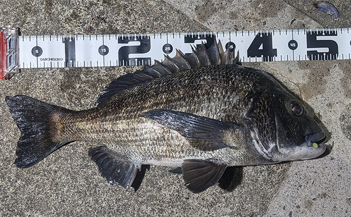 「太ウナギ＆年無しクロダイWヒット！」宮川の夜釣りで苦戦の末に良型登場【三重】