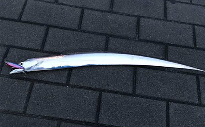 ライトショアジギング（LSJ）の基本アクション2選　レンジへの意識が超重要