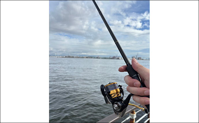ライトショアジギング（LSJ）に適したロッドとリールの条件　エギングタックル流用はアリ