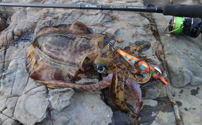 「秋は釣りターゲットがたくさん！」あれもこれも楽しめる【バーサタイルロッドって何？】