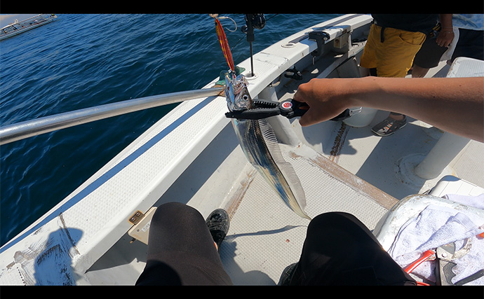 「タコベイトの効果抜群！」タチウオジギングで本命連発！【大阪・釣人家】