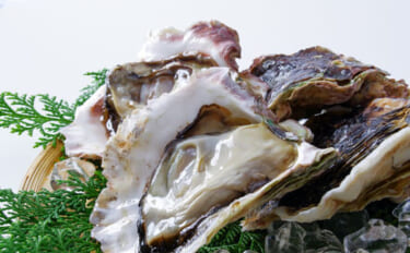 カキの旬は「夏」？それとも「冬」？　種類や産地によって異なる