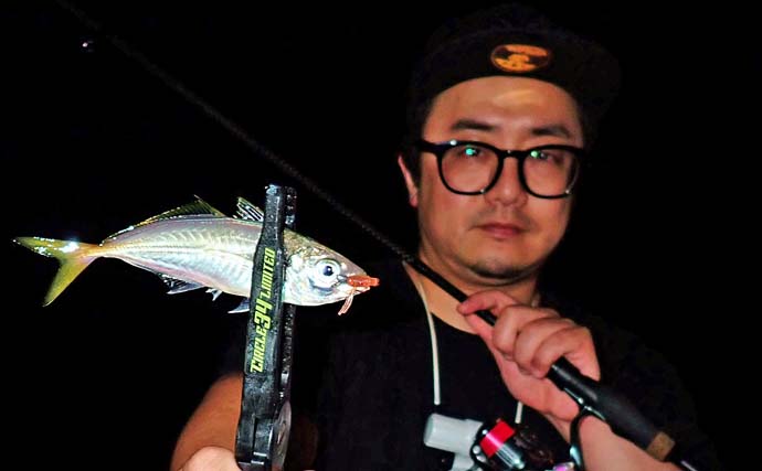 「港のニャンコに魚をおすそ分け」志摩エリアのナイトアジングで19cmを頭に40匹手中【三重】