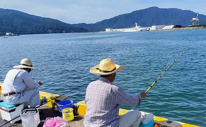 「夫婦合わせて束釣り達成！」敦賀港のサヨリ釣りで本命104匹キャッチ【福井】