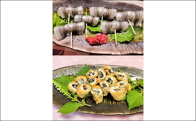 「夫婦合わせて束釣り達成！」敦賀港のサヨリ釣りで本命104匹キャッチ【福井】