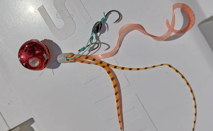 「年イチ級の大ダイ浮上！」伊勢湾エリアのタイラバで70cm超マダイをキャッチ【愛知】