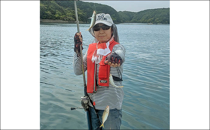 安乗釣センターのカカリ釣りでマアジ連発！【三重】泳がせ釣りでは40cmシオがヒット