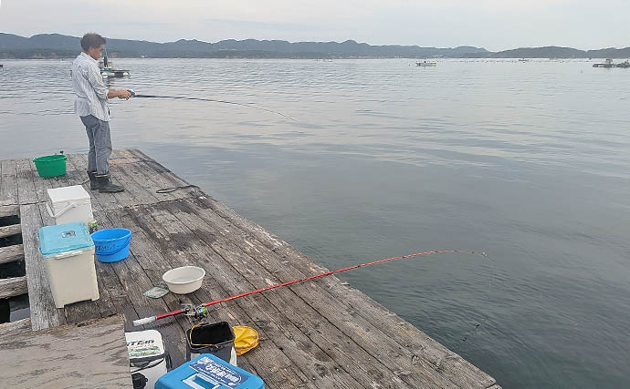 安乗釣センターのカカリ釣りでマアジ連発！【三重】泳がせ釣りでは40cmシオがヒット