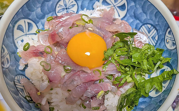 安乗釣センターのカカリ釣りでマアジ連発！【三重】泳がせ釣りでは40cmシオがヒット