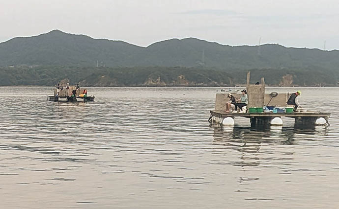 安乗釣センターのカカリ釣りでマアジ連発！【三重】泳がせ釣りでは40cmシオがヒット