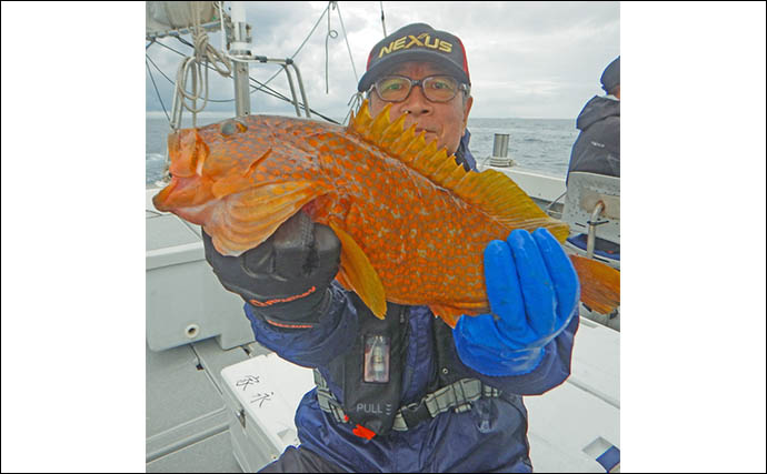 宗像沖の落とし込み釣りで良型ラッシュ！【福岡】ハマチ3kg・アコウ1.5kg・カンパチ2.5kg登場