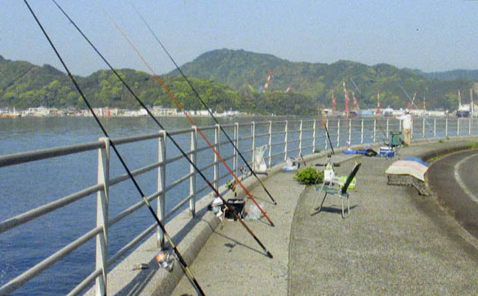 大入島・日向泊港の投げ釣りで25cm超キス続出！【大分】マゴチ67cm＆イトヨリ51cmも登場