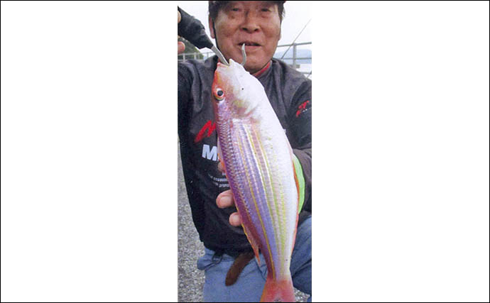 大入島・日向泊港の投げ釣りで25cm超キス続出！【大分】マゴチ67cm＆イトヨリ51cmも登場