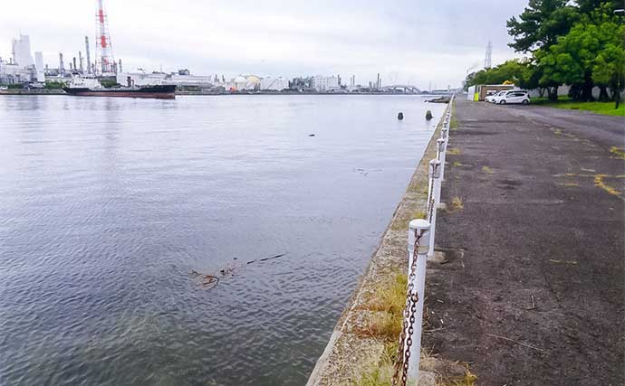 「秋晴れの運河でハゼ連発！」霞ケ浦緑地公園のちょい投げ釣りで32匹手中【三重】
