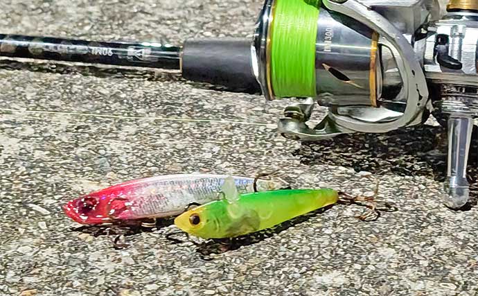 「仕事帰りの1時間勝負！」衣浦港の橋脚シーバスゲームで2連発【愛知】