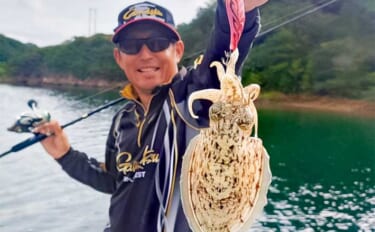 「青物猛攻を制す！」迫間浦の筏エギング懇親会でコウイカ520gを釣り上…