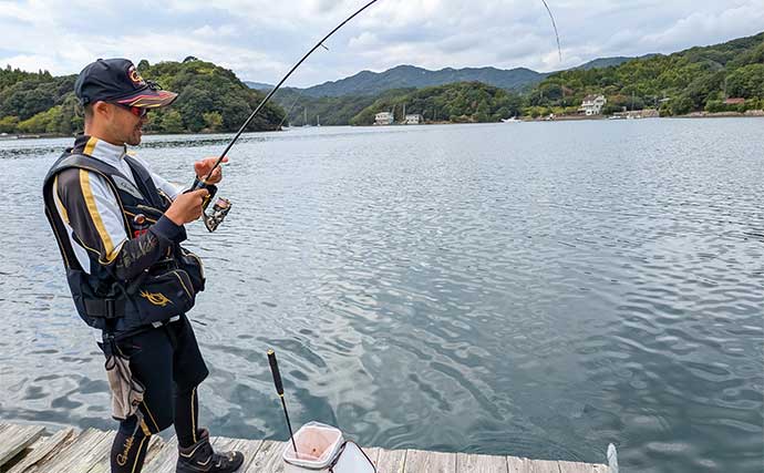 「青物猛攻を制す！」迫間浦の筏エギング懇親会でコウイカ520gを釣り上げて優勝【三重】