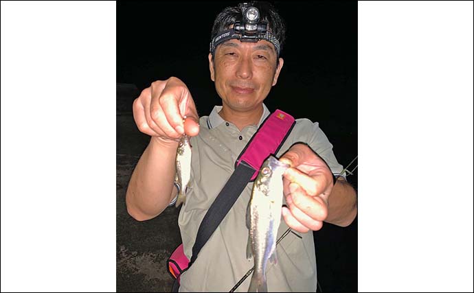 揖斐川のナイトハゼ釣りで21匹キャッチ【三重】ゲストにセイゴやヒイラギもヒット