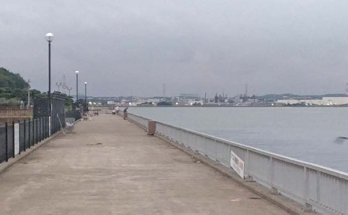 碧南海釣り広場のサビキ釣りでサッパ爆釣！【愛知】ヒイラギ＆セイゴも登場