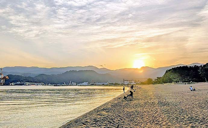 気比の松原の投げ釣りで19.5cm良型シロギスをキャッチ【福井】小ハリ変更＆サオさびきで快釣