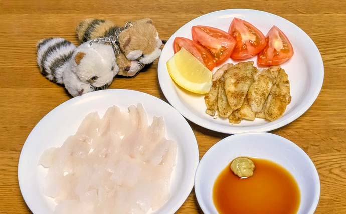 気比の松原の投げ釣りで19.5cm良型シロギスをキャッチ【福井】小ハリ変更＆サオさびきで快釣