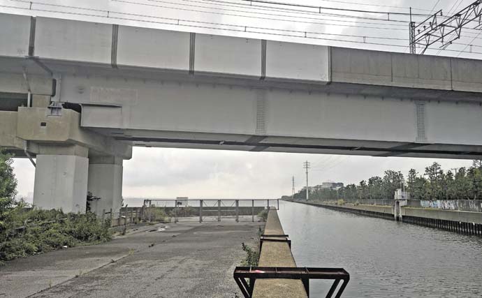 猫実川＆塩浜三番瀬公園のハゼ釣りで37尾キャッチ【千葉】16cm超えウロハゼも登場