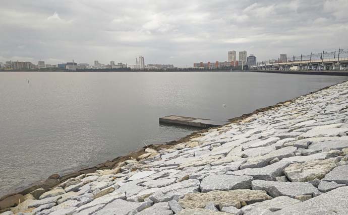 猫実川＆塩浜三番瀬公園のハゼ釣りで37尾キャッチ【千葉】16cm超えウロハゼも登場