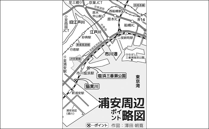猫実川＆塩浜三番瀬公園のハゼ釣りで37尾キャッチ【千葉】16cm超えウロハゼも登場
