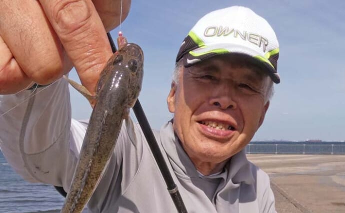 「内房でのんびり釣り日和」富津みなと公園のちょい投げ釣りでハゼ＆セイゴ好調【千葉】