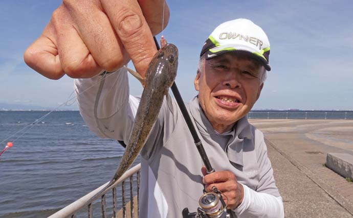 「内房でのんびり釣り日和」富津みなと公園のちょい投げ釣りでハゼ＆セイゴ好調【千葉】