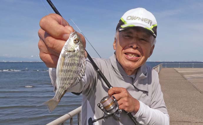 「内房でのんびり釣り日和」富津みなと公園のちょい投げ釣りでハゼ＆セイゴ好調【千葉】