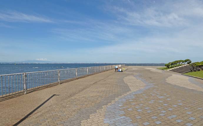 「内房でのんびり釣り日和」富津みなと公園のちょい投げ釣りでハゼ＆セイゴ好調【千葉】