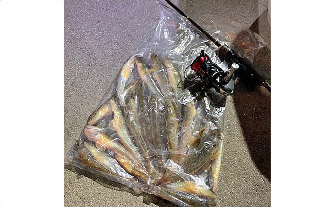 「最大19cm含む20尾！」多々良川のハゼをハゼクラ＆エサ釣り二刀流で攻略【福岡】