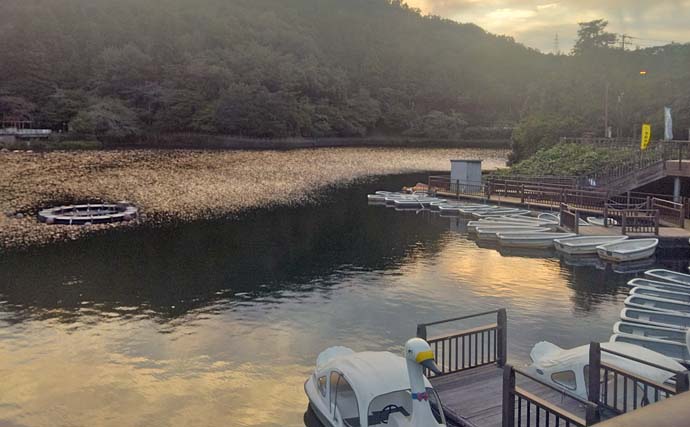 伊自良湖でワカサギ釣り開幕前哨戦！【岐阜】13匹キャッチで手応えあり