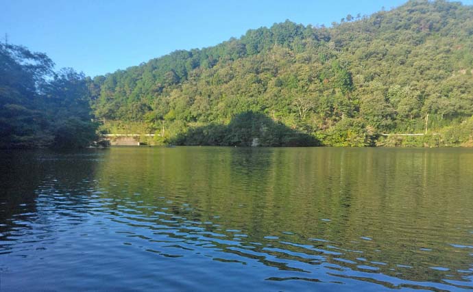 伊自良湖でワカサギ釣り開幕前哨戦！【岐阜】13匹キャッチで手応えあり