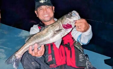 庄内川のリバーシーバスゲームで53cmヒット！【愛知】明暗の境界でスイ…