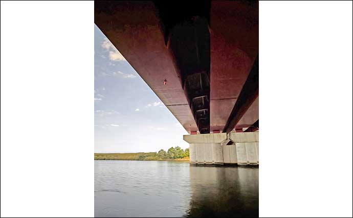 庄内川のリバーシーバスゲームで53cmヒット！【愛知】明暗の境界でスイッチヒッター炸裂